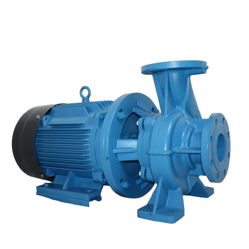 IMG_1359 removebg preview 4